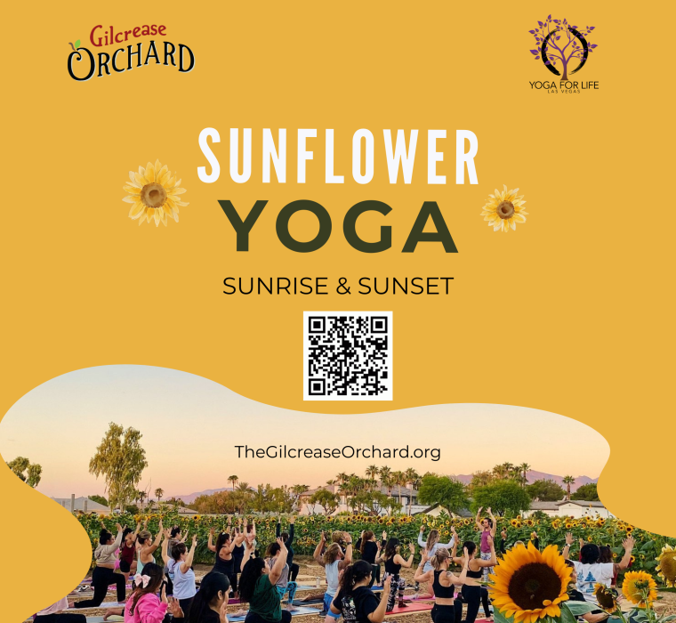 Sunflower Yoga