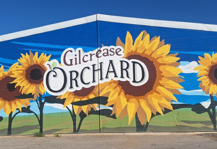 Barn Painted with Gilcrease Orchard and Sunflowers