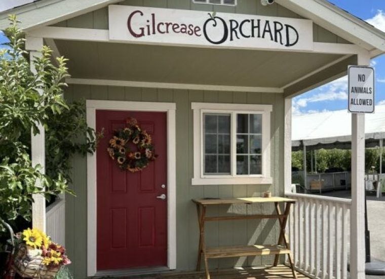 Welcome Shed
